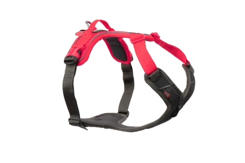 ramble_harness_1.webp