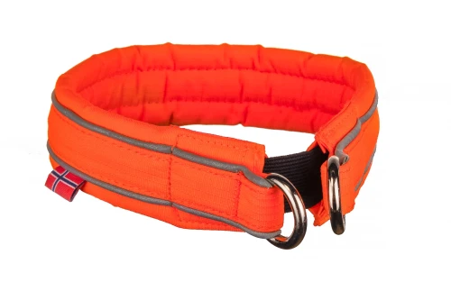 safe_collar_1.webp