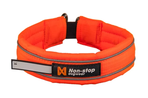 safe_collar_2.webp