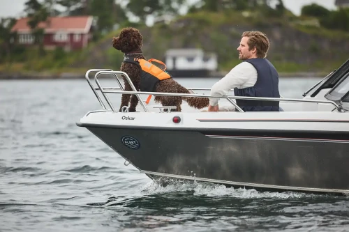 protector_life_jacket_11.webp