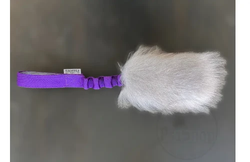 mini-fiolet (1).webp