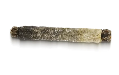dorsz_konina_jagoda_z_cieniem.webp