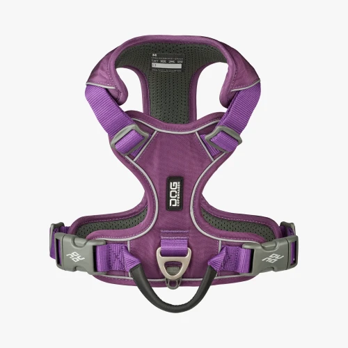 rt-walk-pro-harness-purple-passion-3.webp