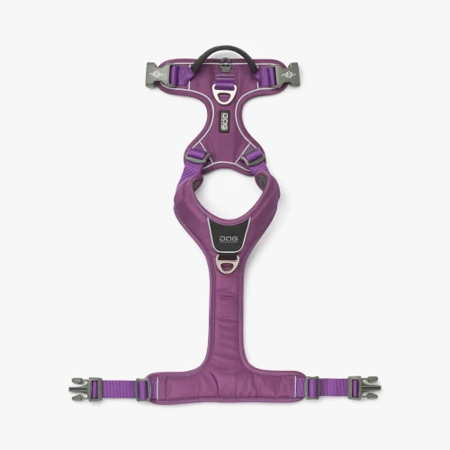 rt-walk-pro-harness-purple-passion-4.webp