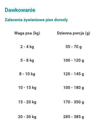 kaczka-dawka.webp