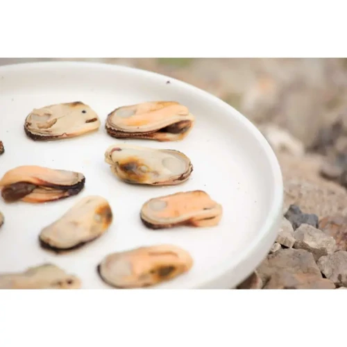 zealand-green-lipped-mussel-dogs-1.webp