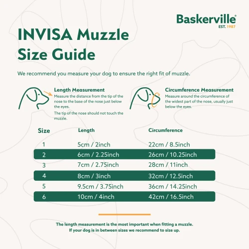 Baskerville_INVISA_2.webp