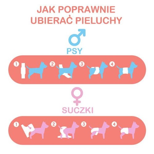 misoko stosowanie.webp