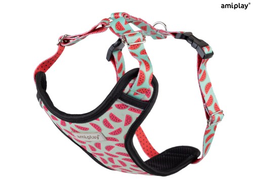 amiplay_BeHappy_Adjustable_harness_Discovery_Watermelon_2.jpg
