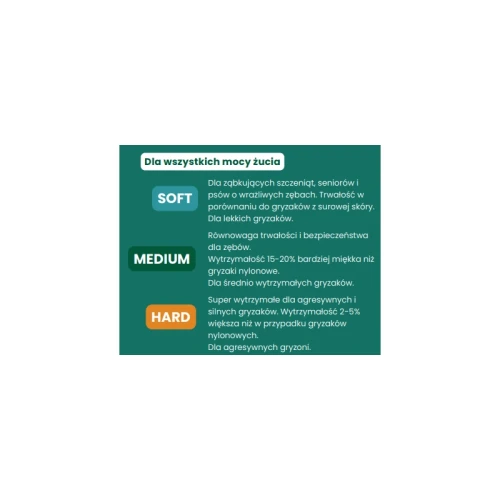 betterbone-kosc-do-gryzienia-small-medium-classic (2).webp