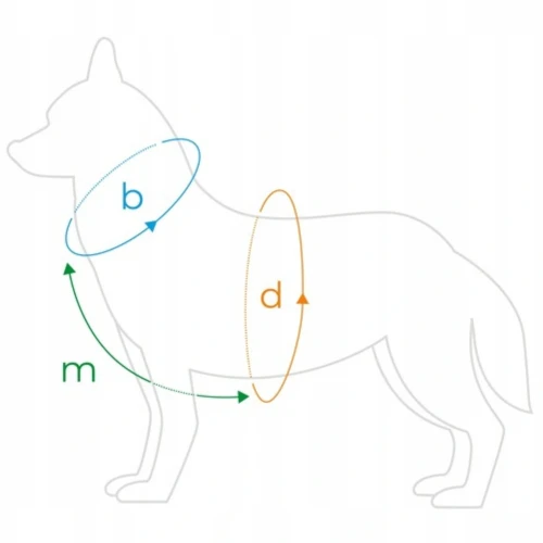 popular pobieranie miary.webp