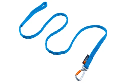 bungee_leash_blue_2,8.webp