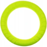 Pływający RING 19cm zielony