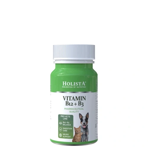 vitamin-b12-b3-90-tabl.webp