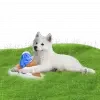 3412.webp