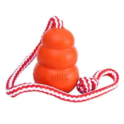 824.webp