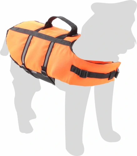 503057_E_01 (1) (1).webp