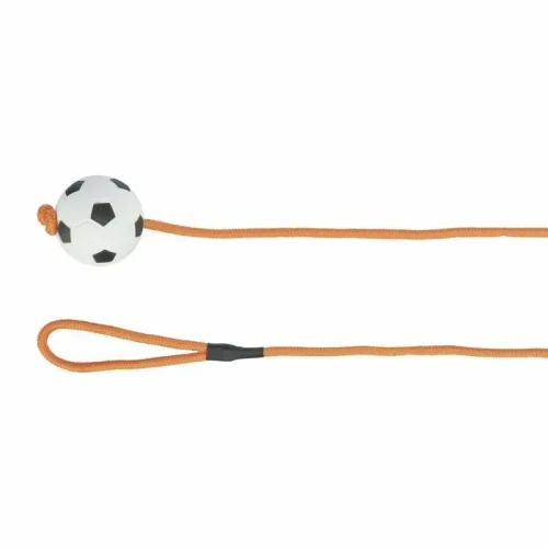 trx piłka 6 1 m.webp