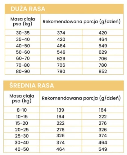 perro kaczka 12 (1).webp