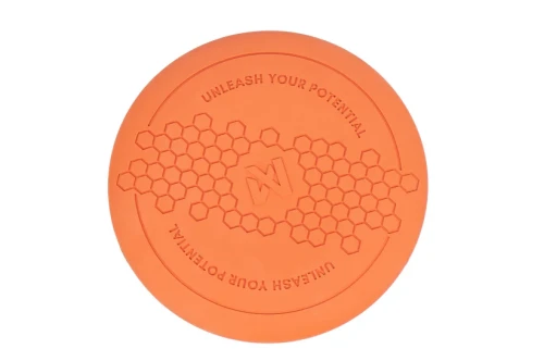 dog_flying_disc_1.webp