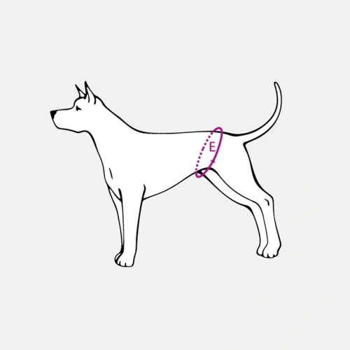 majtki_miara (1).webp