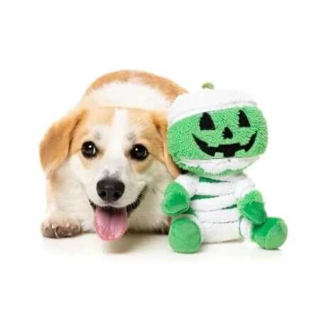 mumia-jack-o-chan-s (1) (1).webp