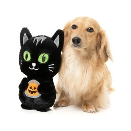 kotka-meowly-cyrus-m (1) (1).webp