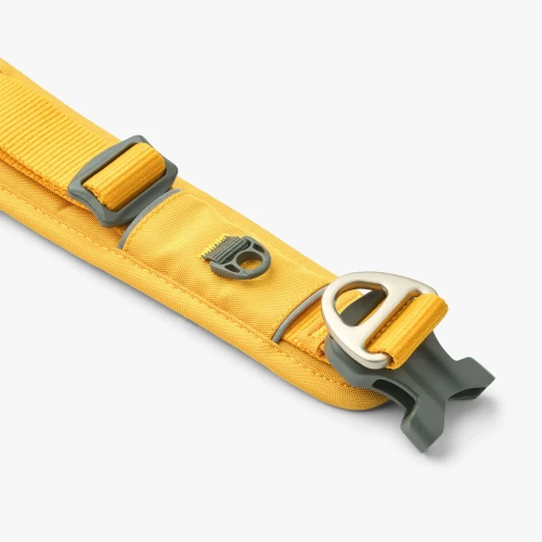 urban-explorer-collar (11).webp