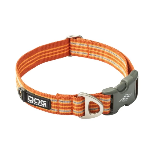 style orange-Photoroom (1).webp