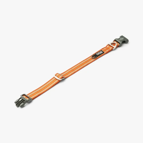 urban-style-collar (14).webp