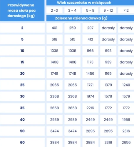 baltica jagn puppy dawka (1).webp