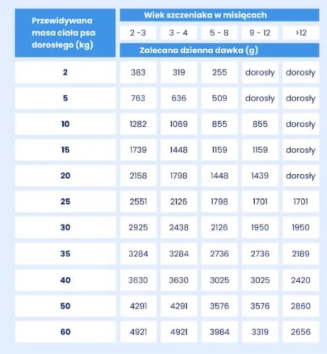 królik pyppy dawka (1).webp