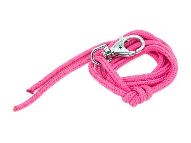 firedog_lanyard_cyclamen_pink-47221 (1).webp