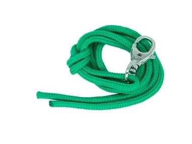 firedog_lanyard_electric_green-47905 (1).webp