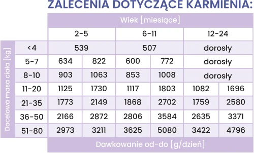 junior-krolik-z-dynia-tabela-dawkowanie.webp