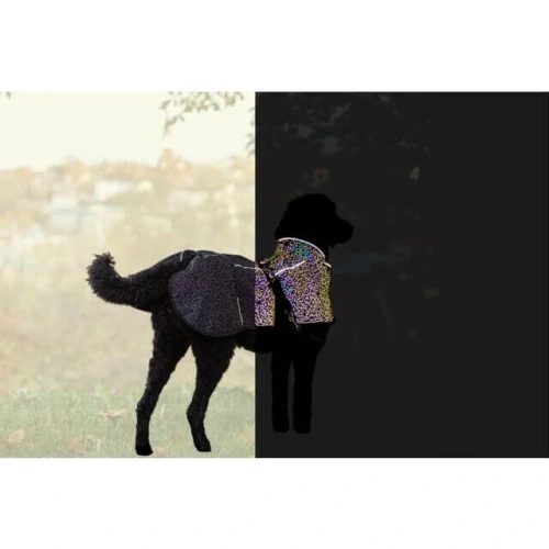 PHO_IMAGE_DOG_Grosspudel-Piet-Mantel-Limoux-Reflect-hell-dunkel-3_#SALL_#AWK_#V1 (2).webp