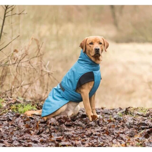 PHO_IMAGE_DOG_Labrador-Mailo-Wintermantel-Riom-Natur-6_#SALL_#AWK_#V1 (1).webp