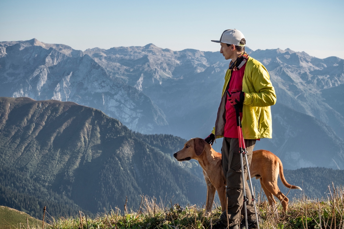 Trekking i wędrówki górskie z psem – jak przygotować sprzęt i kondycję